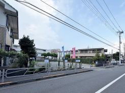 1号地 