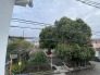 住戸からの眺望写真