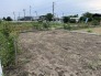 1号地 