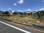 3号地 