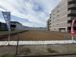八王子市松木