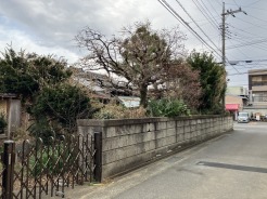 海老名市中新田3丁目