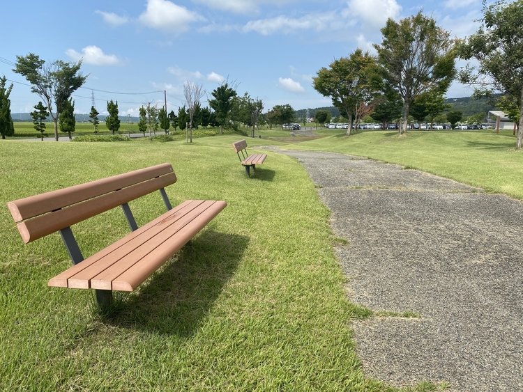 公園にベンチが置いてある様子