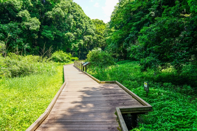 東高根森林公園のイメージ