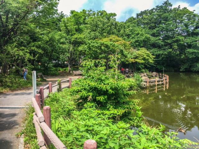 菊名池公園のイメージ