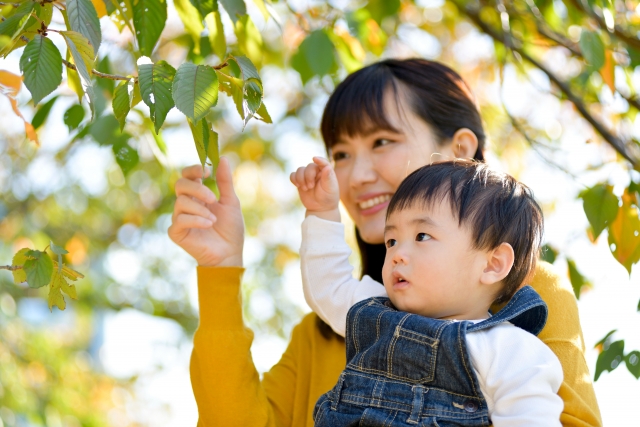 公園のイメージ