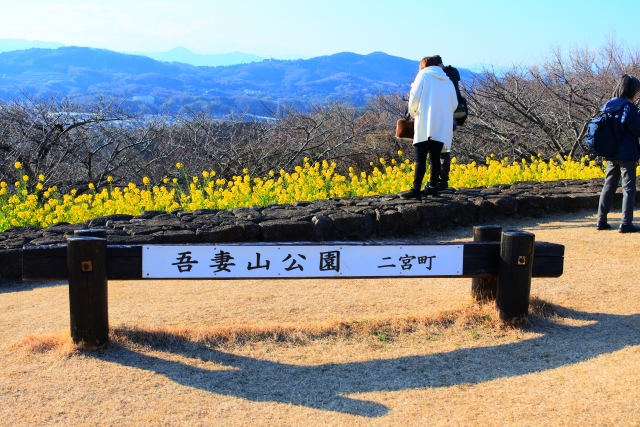 吾妻山公園の様子