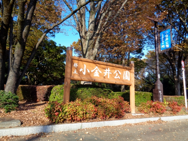 公園のイメージ