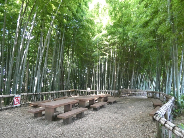 竹林公園のイメージ