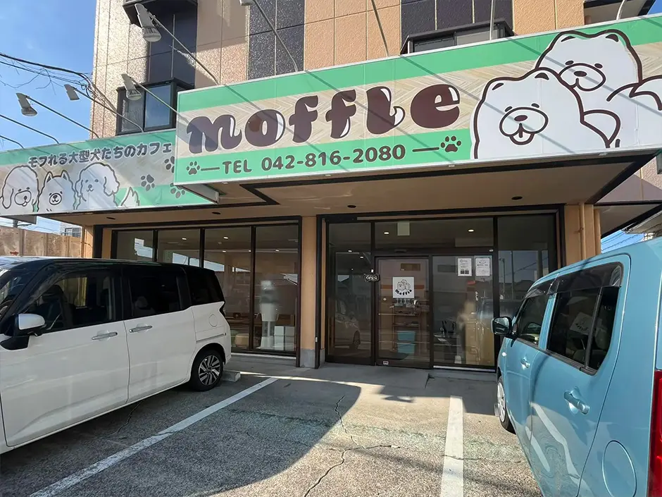 モフれる大型犬たちのカフェ moffle 相模原店