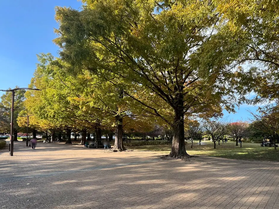 横山公園