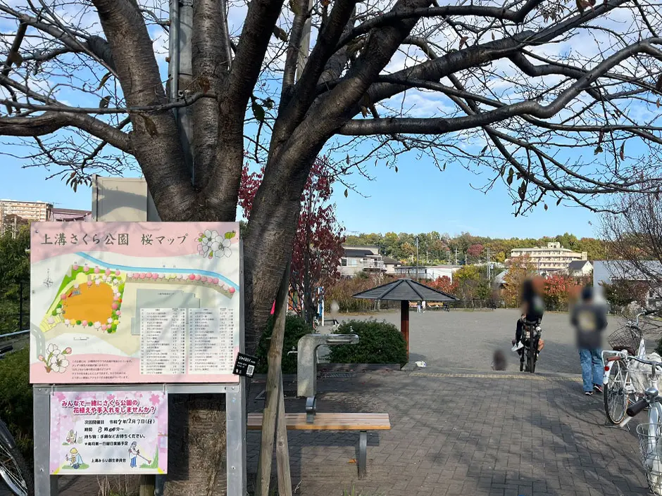 上溝さくら公園