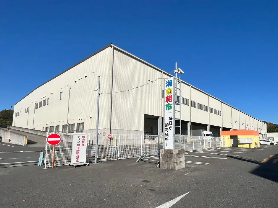 湘南藤沢地方卸売市場