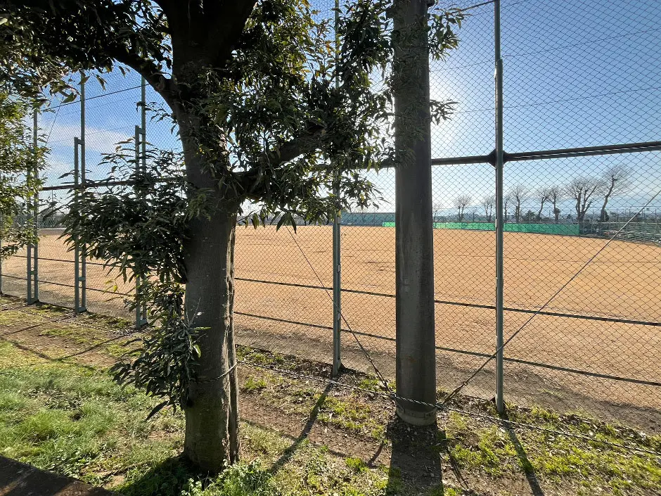 新田宿グラウンド