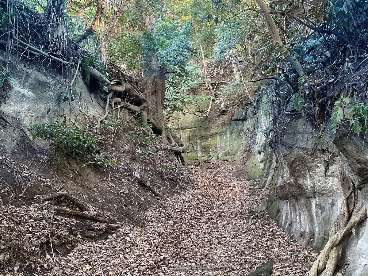 谷戸坂の切り通し2