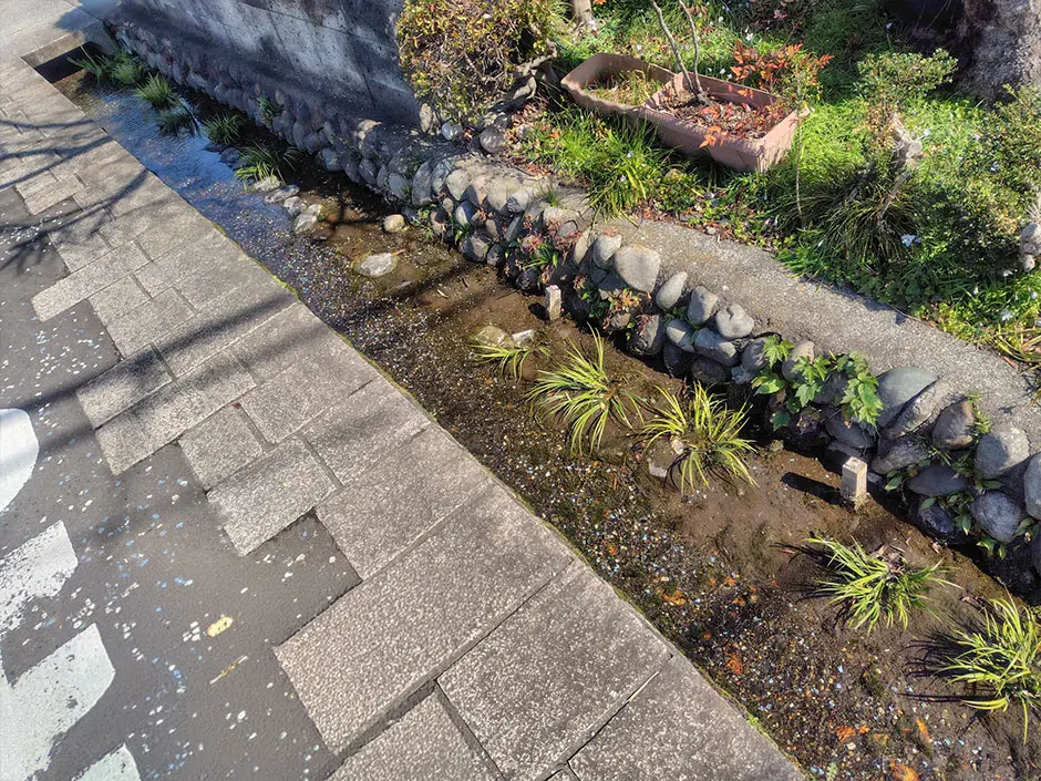 水辺