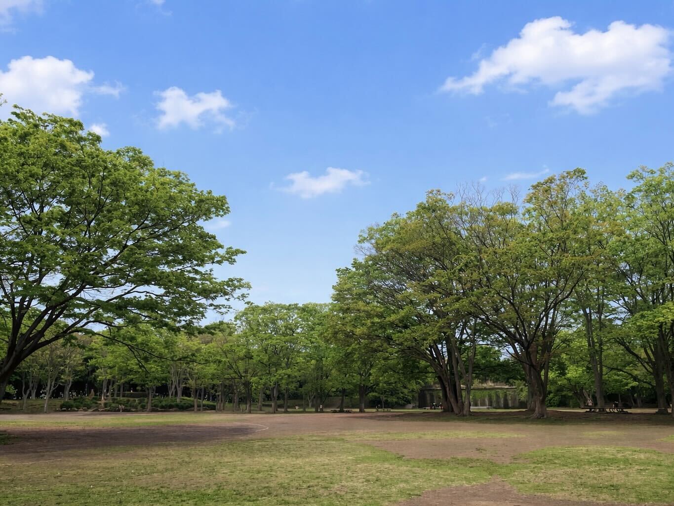 中央公園