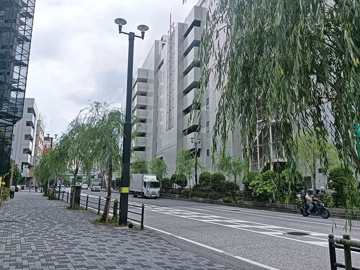 柳通り