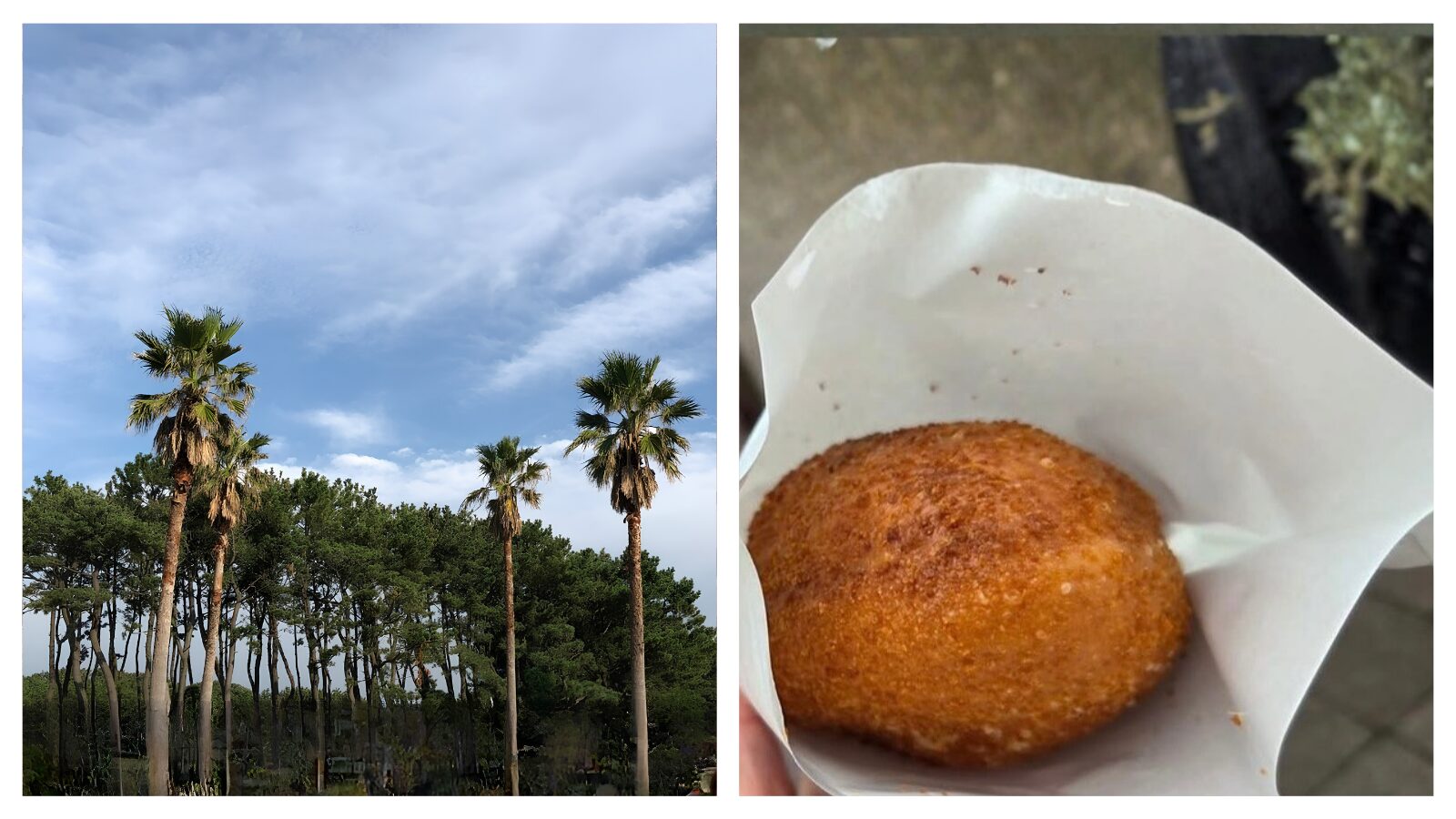 辻堂海岸とカレーパン