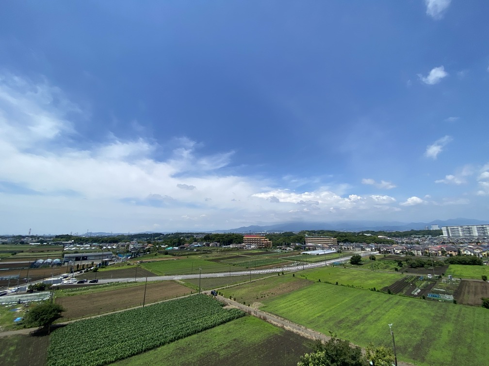 綾瀬市役所からの眺め