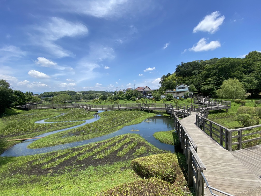 綾瀬市公園蟹ヶ谷公園